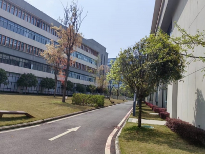 新都石板滩  到市区20分钟 13-20元 18个月免租期 综合成本只要几块钱图1