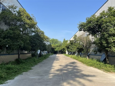 邛崃独栋单层高标准食品厂出租5557㎡可分组图2