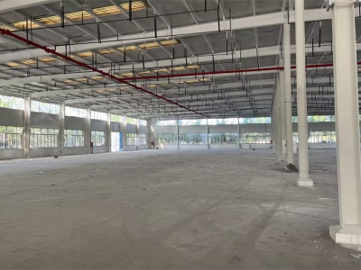 邛崃独栋单层高标准食品厂出租5557㎡可分组图4
