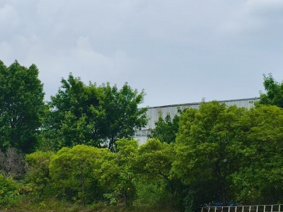 前锋区工业厂房，总面积17818㎡，证件齐全，独立产权图3