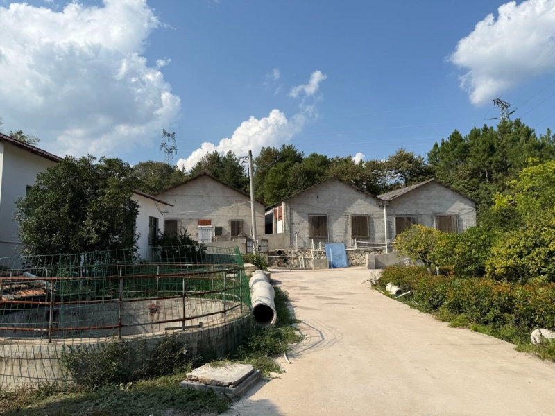 杭州建德市 20亩 生态养殖基地 7猪舍 全配套环评设施【面议】