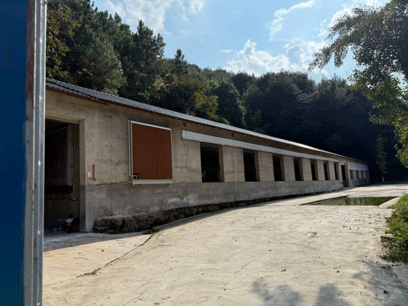 杭州建德市 20亩 生态养殖基地 7猪舍 全配套环评设施【面议】