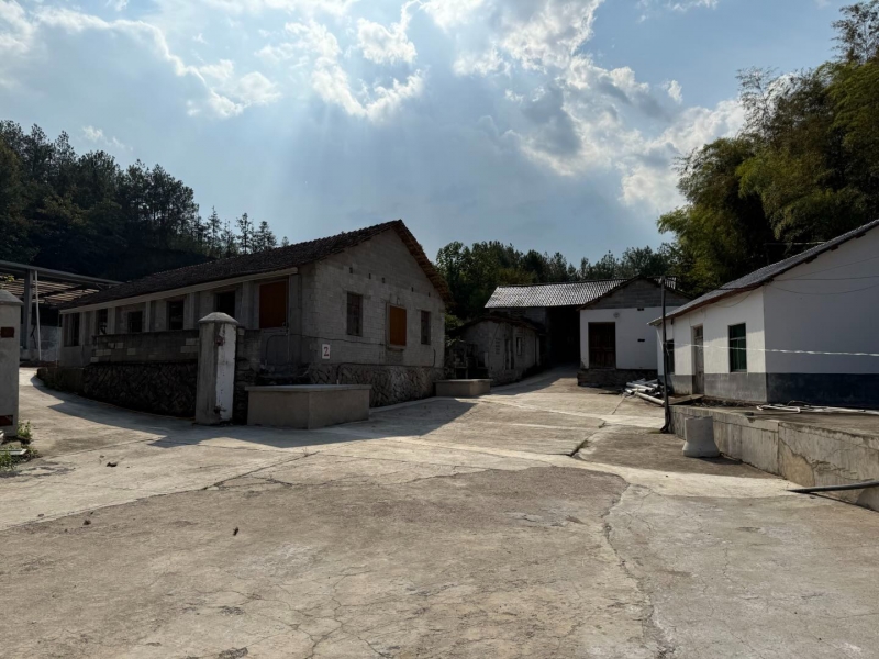 杭州建德市 20亩 生态养殖基地 7猪舍 全配套环评设施【面议】