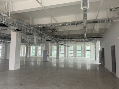 成都龙泉经开区8栋独立厂房 整栋出租8900-13000㎡，直租无中介费图3