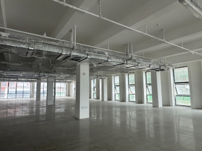 成都龙泉经开区8栋独立厂房 整栋出租8900-13000㎡，直租无中介费图6
