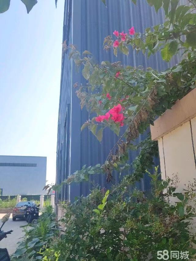 四川达州魏复路出口工业园区独立厂房2450平方,可分割,还有独立车间450平方